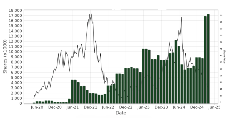 Direxion Daily Semiconductor Bull