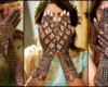 Mehndi designs pics simple: हर मौके के लिए बेस्ट आइडियाज