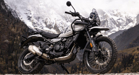 Himalayan450