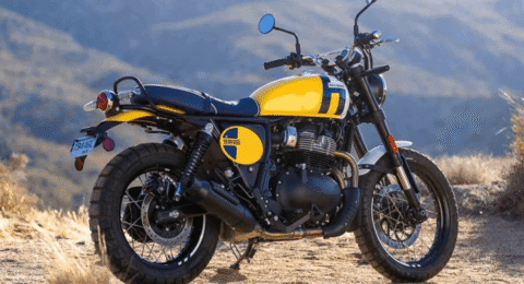 Re Bear650