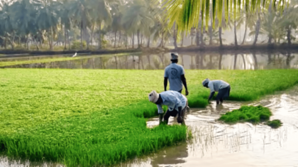 जिला विकास