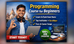 Programming Course for Beginners