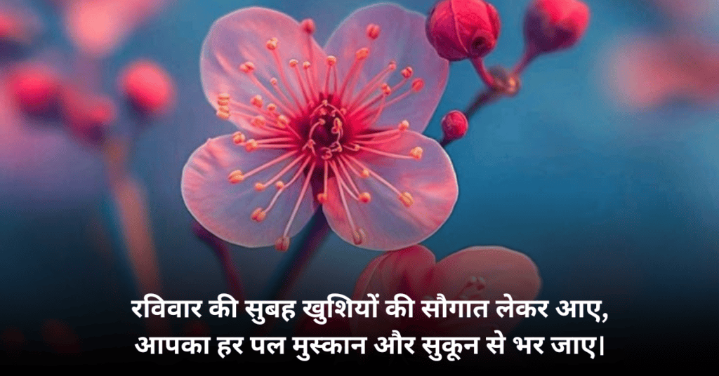 Happy Sunday