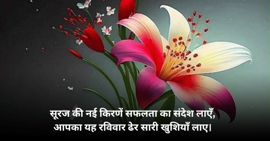 Happy Sunday