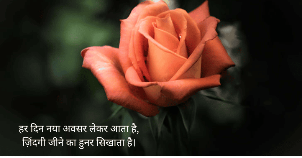 Shayari Life 2 Line