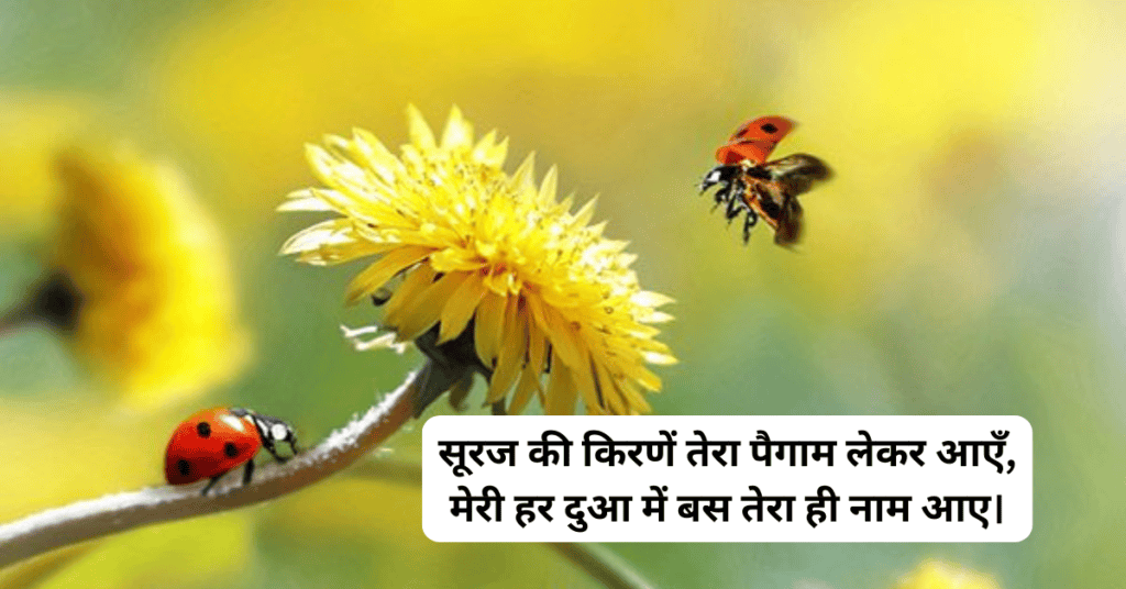 Romantic Good Morning Love